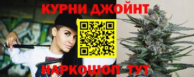 индика Балахна