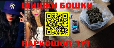индика Балахна