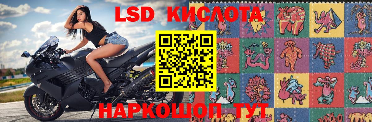 хочу   Благодарный  Марки N-bome  Наркотические марки 1,5мг  Наркотические марки 1,5мг 