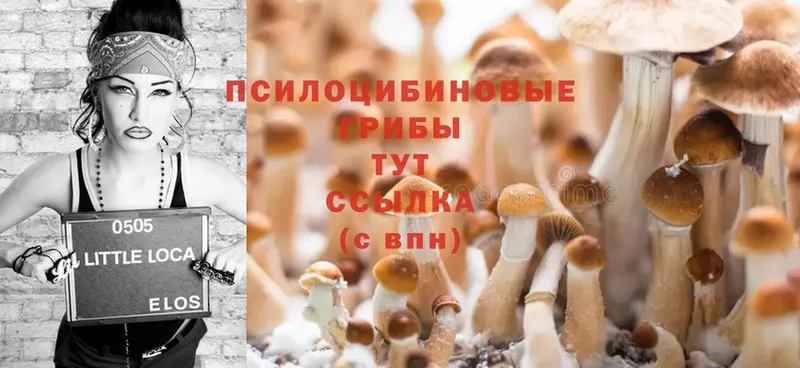 Галлюциногенные грибы MAGIC MUSHROOMS  магазин    ОМГ ОМГ ссылка  дарк нет Telegram  Благодарный 