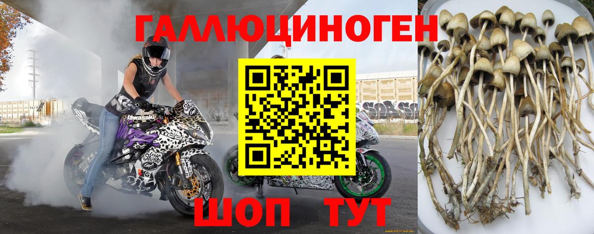 Псилоцибиновые грибы прущие грибы Благодарный